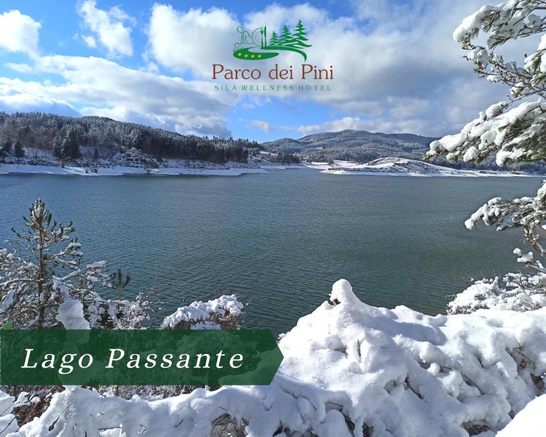 Parco Dei Pini - Sila Wellness Hotel Taverna  Eksteriør bilde