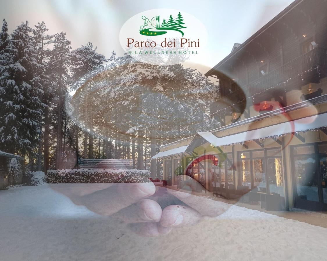 Parco Dei Pini - Sila Wellness Hotel Taverna  Eksteriør bilde