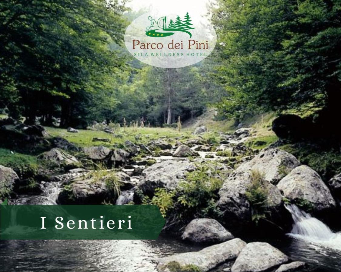 Parco Dei Pini - Sila Wellness Hotel Taverna  Eksteriør bilde